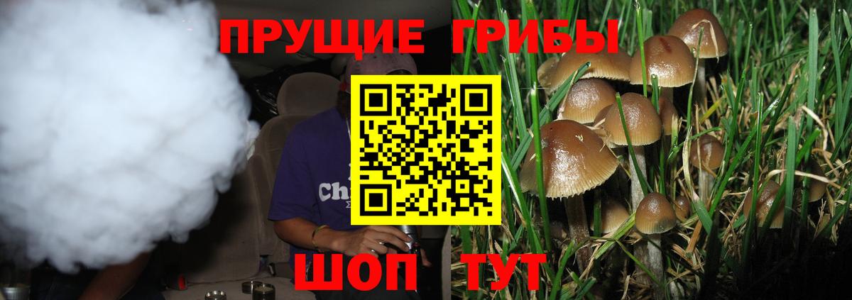 Галлюциногенные грибы Cubensis  Вход с VPN  Кизляр 